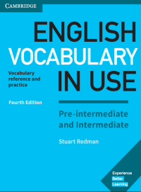 Image of English vocabulary in use : pre-intermediate and intermediate