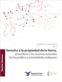 Image of Derecho a la propiedad de la tierra, el territorio y los recursos naturales de los pueblos y comunidades indígenas