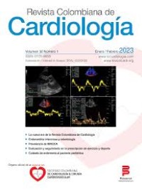 Image of Cuidado de enfermería al paciente pediátrico con tetralogía de Fallot intervenido quirúrgicamente : una revisión de alcance