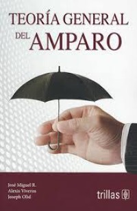 Image of Teoría general del amparo