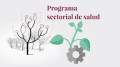 Programa sectorial derivado del Plan Nacional de Desarrollo 2019-2024
