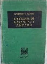 Image of Lecciones de garantías y amparo